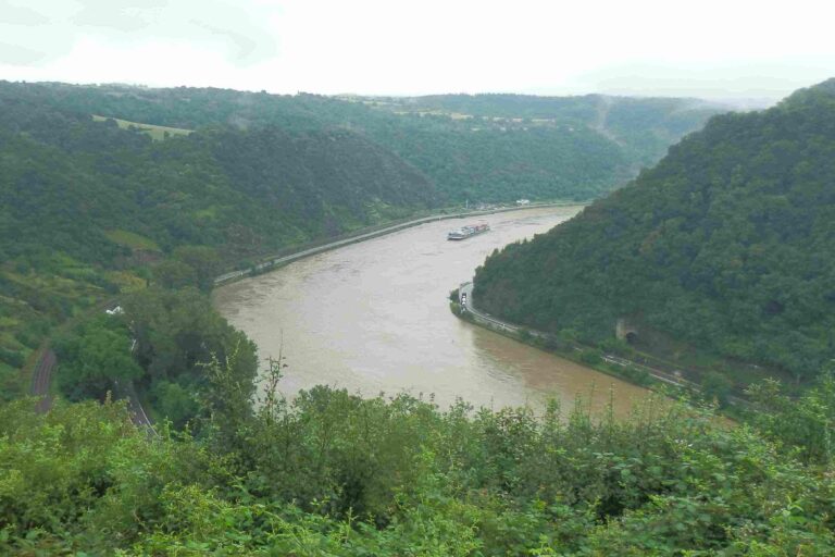 Ausflug an den Rhein